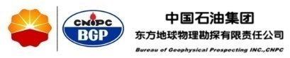 中石油东方物探（国际勘探事业部）第三方HSE履职能力评估咨询服务项目
