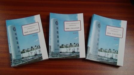 中海油新能源QHSE档案管理程序开发完成