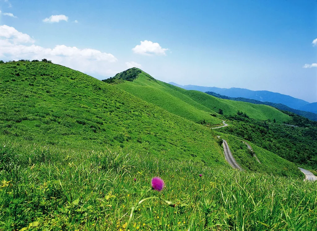 “地震”预警！做好防范